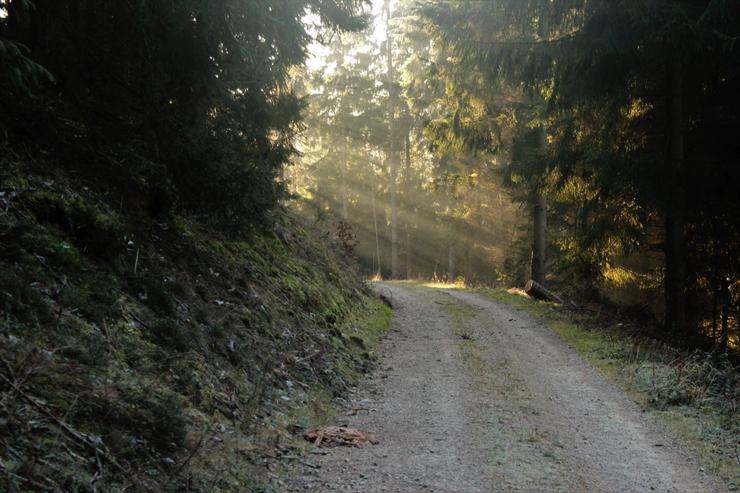 Licht am Ende des Wegs, Foto © Tina Urban.