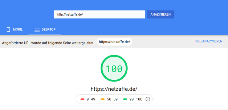 Google PageSpeed für netzaffe.de, Desktop, Score 100 von 100